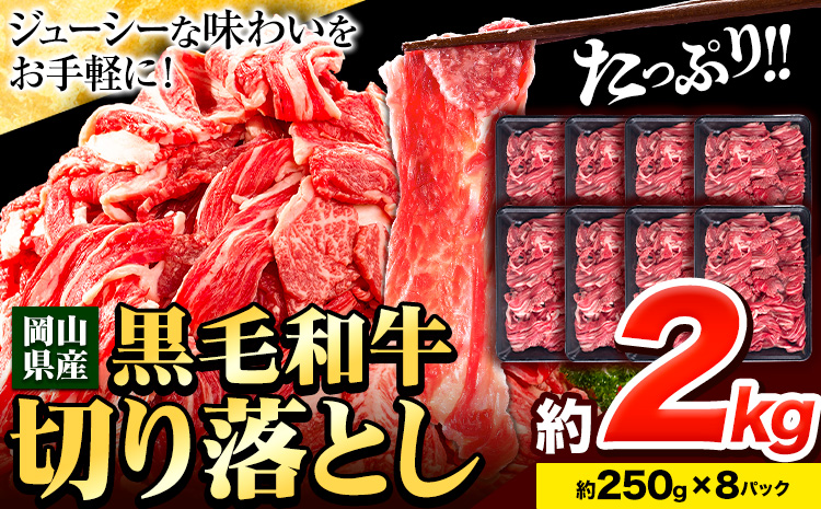 牛肉 肉 黒毛和牛 切り落とし 訳あり 大容量 小分け 2kg 1パック 250g 《30日以内に出荷予定(土日祝除く)》岡山県産 岡山県 笠岡市 お肉 にく カレー 牛丼 切り落し 切落し---kasaoka_zsy_114_2kg---