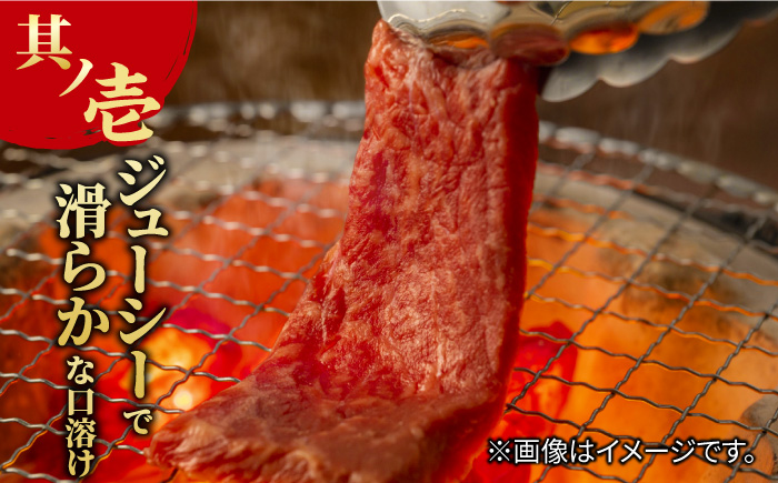 佐賀牛 カルビ 焼肉用 500g×2 計1kg 吉野ヶ里町/NICK’S MEAT [FCY011]