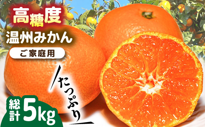 【2025年11月下旬～発送】【高糖度】 温州みかん 約5kg / 果物 くだもの フルーツ ふるーつ 旬 家庭用 / 南島原市 / 南島原果物屋 [SCV011]