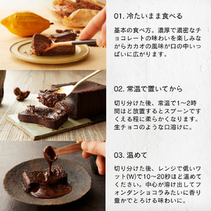 幸せの生ガトーショコラ 2本セット