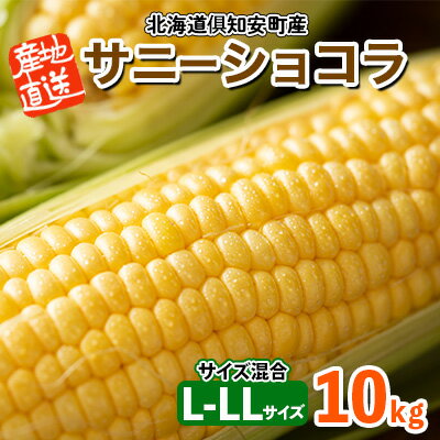 【ふるさと納税】北海道産 とうもろこし サニーショコラ 計18～20本 10kg前後 L-LL 旬 スイート コーン イエロー トウモロコシ お取り寄せ 産地直送 野菜 とうきび 送料無料 北海道 倶知安町 野菜セット 　お届け：2025年8月上旬～9月下旬迄