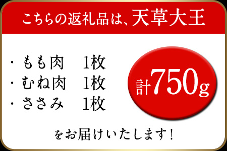 天草大王 ハーフセット 約750g【幻の地鶏】もも・むね・ささみ各1枚 熊本県産 葦北郡 津奈木町《60日以内に出荷予定(土日祝除く)》