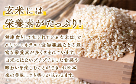 令和5年産 無肥料栽培ササニシキ 玄米 5kg(5kg×1袋) 河上農園 岡山県矢掛町《30日以内に出荷予定(土日祝除く)》 農薬・化学肥料不使用 お米 コメ こめ