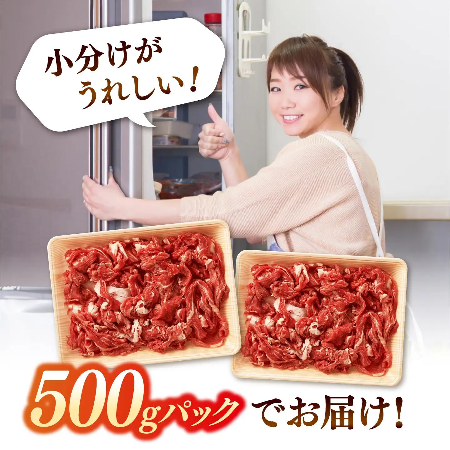 【全12回定期便】博多和牛 切り落とし 500g×2P [ADAQ016]  牛肉 切り落とし 定期便