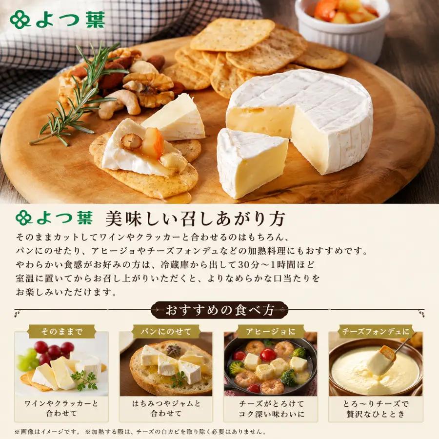 北海道  よつ葉カマンベールチーズ6個 【人気 おすすめ     セット  送料無料 】 SKA032