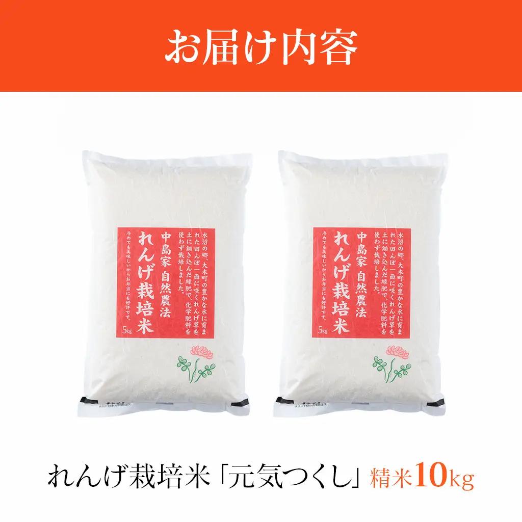 令和8年産 予約 れんげ農法栽培米「元気つくし」（精米10㎏） BI23