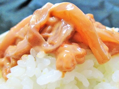 塩辛 昭和の塩辛 80g×4袋 真イカの肝醤油造り 80g×4袋 珍味 詰め合わせ エコパック セット （計8袋） いか イカ いか塩辛 おつまみ ご飯のお供 海鮮 魚介類 海産物 ※ご入金確認後 3