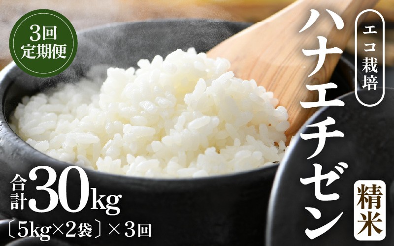 
                  【先行予約】【令和8年産 新米】【一等米】 定期便≪3ヶ月連続お届け≫エコ栽培ハナエチゼン 精米 10kg×3回（計30kg） ／ 鮮度抜群 福井県産 はなえちぜん ご飯 新鮮 白米 ※2026年9月上旬以降順次発送予定 [aw063-d007]
                