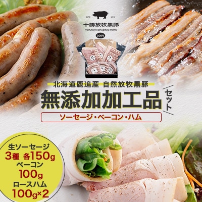 【毎月定期便】北海道十勝産 自然放牧黒豚 無添加加工品セット(ソーセージ ベーコン ハム)全6回【配送不可地域：離島】