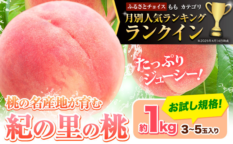 
            桃 ☆人気ランキング ランクイン ☆和歌山県産 紀の里の桃 約1kg (3-5玉)《2026年6月中旬-8月中旬頃出荷》 2026年 先行予約 紀の里の桃 白鳳 日川白鳳 なつっこ 清水白桃 川中島白桃 八旗白桃 和歌山 もも 一万円以下 10,000円以下
          