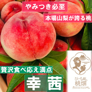 【食べ応え満点の幸茜ブランド】大玉ごろごろサイズ人気No.1の品種 約1kg【2025年発送】（PMK）B17-103 【幸茜 桃 もも モモ 令和7年発送 期間限定 山梨県産 甲州市 フルーツ 果物】