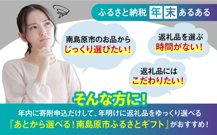 【あとから選べる】南島原市 ふるさとギフト 400万円分 / あとから寄附 あとからギフト 選べる寄附 400万円 4000000円 / 南島原市 [SZX015]