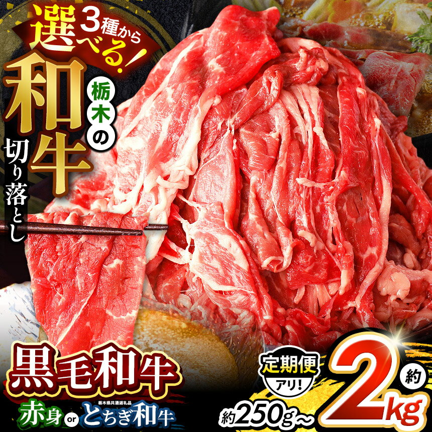 【ふるさと納税】和牛 切り落とし 定期便 も選べる とちぎ和牛 牛肉 送料無料 | 楽天限定 訳あり 1回 3回 6回 12回 黒毛和牛 栃木県産 赤身 ロース スライス すき焼き しゃぶしゃぶ 肉 大容量 500g 1kg 2kg 栃木県 真岡市