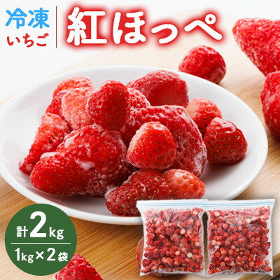 【ふるさと納税】【2ヵ月毎定期便】冷凍いちご　紅ほっぺ1kg入り×2袋　計2kg全6回【配送不可地域：離島】【4078491】