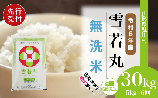 ＜令和8年産米先行受付＞ 令和8年11月上旬より配送開始 雪若丸【無洗米】30kg定期便 (5kg×6回)　鮭川村