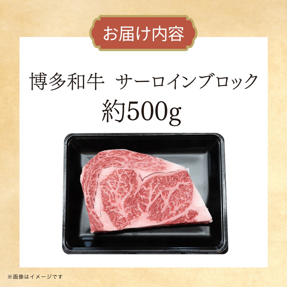 DK-021_博多和牛　サーロインブロック　約500g