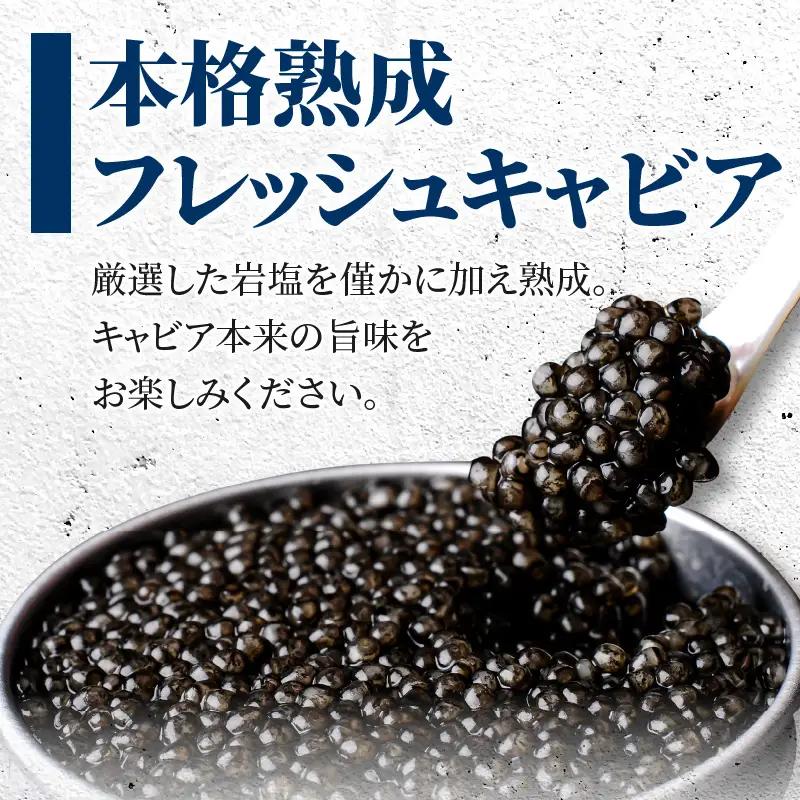 【訳あり】宮崎県産キャビア 詰め合わせ 合計200g 魚卵 キャビア