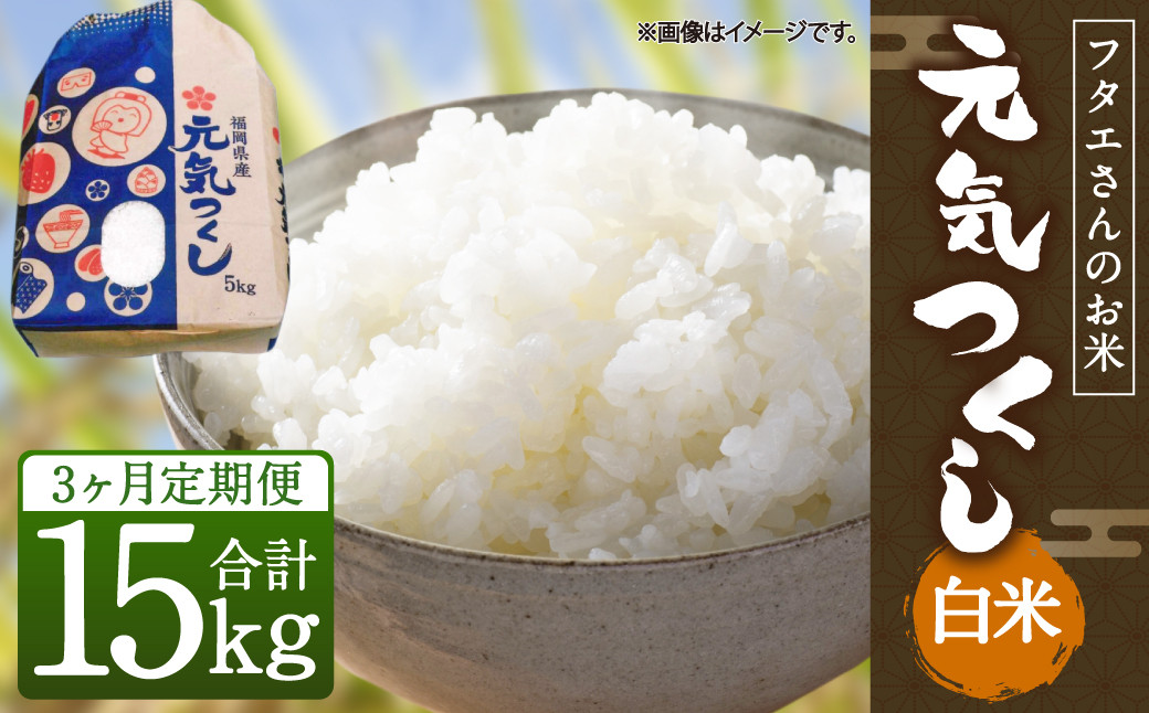 
            【3回定期便】フタエさんの お米 元気つくし 白米 5kg×3回 計15kg 米 コメ 精米 ごはん ご飯 うるち米 国産 福岡県産 九州産
          