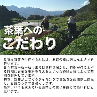 ふるさと納税 佐賀県 佐賀県のお茶屋さんが嬉野茶を使った抹茶入り玄米茶(抹茶入り嬉野玄米茶100g×5本) |  | 02