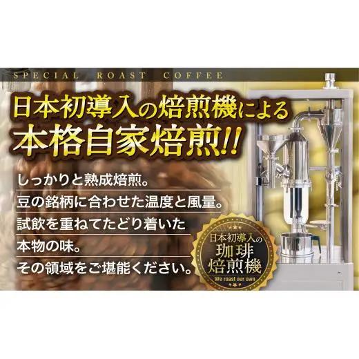 必ず出荷日に自家熟成焙煎ブルーマウンテンNo.1粉(800g)【12回定期便】