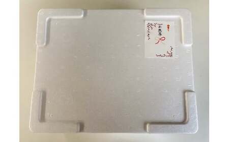 【大槌サーモン祭り】【すごい品掲載】数量限定 国産 希少 大槌 ご当地サーモン 銀鮭 詰合せ (50切入) 特産 大槌限定 魚 魚貝 福袋