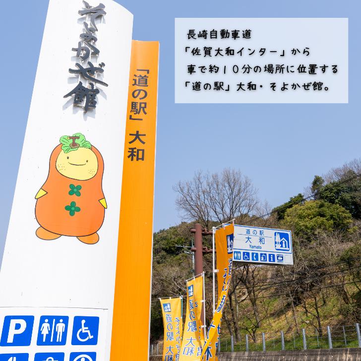佐賀牛ステーキ＆しゃぶしゃぶセット：B825-001_イメージ3
