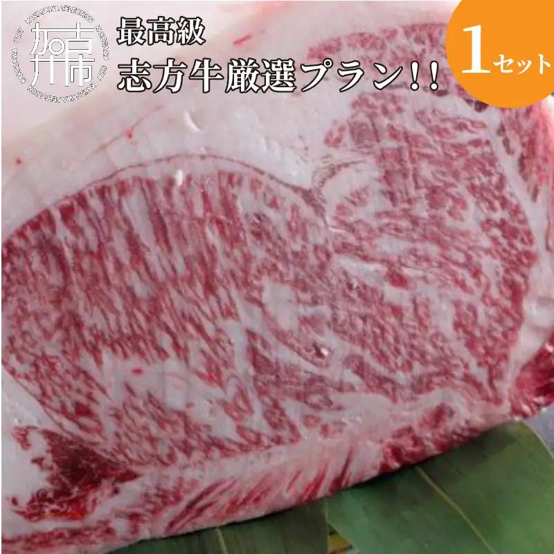 ★☆贅沢なお肉を心ゆくまで☆★最高級志方牛厳選プラン！！《牛肉 志方牛 志方亭 焼肉 バーベキュー BBQ 和牛》【2499A00402】