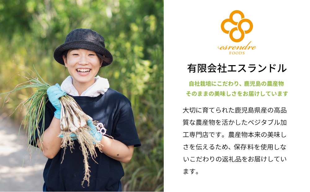 鹿児島県産 〈プレミアム〉伝承蔵～白宝らっきょう黒酢漬け～（90g×8P） 惣菜 らっきょう漬 らっきょう 漬物 黒酢 鹿児島 エスランドル 南さつま市
