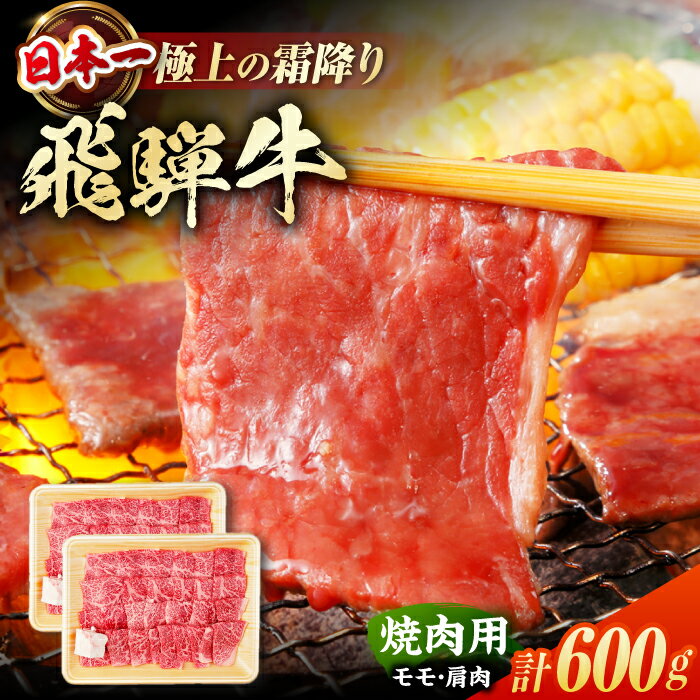 【ふるさと納税】飛騨牛 焼肉用 モモ肉・カタ肉 600g（300g×2）/ 焼肉 牛肉 和牛 牛 飛騨牛 岐阜県産 銘柄牛 高級和牛 霜降り BBQ アウトドア モモ 肩 スライス 小分け ギフト 焼き肉 焼肉 もも肉 ひだ牛 肉 人気 お祝い 人気 オススメ おすすめ 白川町 / 浅井商店[AWBJ001]