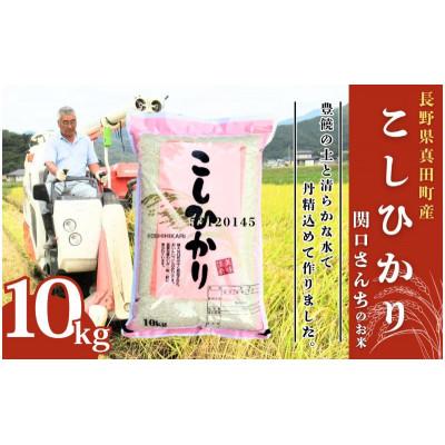 ふるさと納税 上田市 コシヒカリ 関口さんちのお米 精米 10kg[54040145]