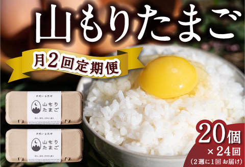 【月2回定期便】山もりたまご 20個 月2回 (2週に1回) 12ヶ月お届け