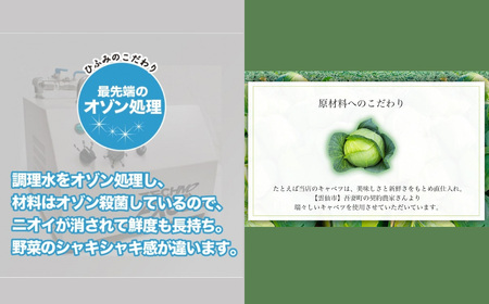 【全6回定期便】≪具材付≫ 長崎冷凍ちゃんぽん (3食) ・ 皿うどん (2食)  長崎ちゃんぽん チャンポン 麺 麺類 簡単調理