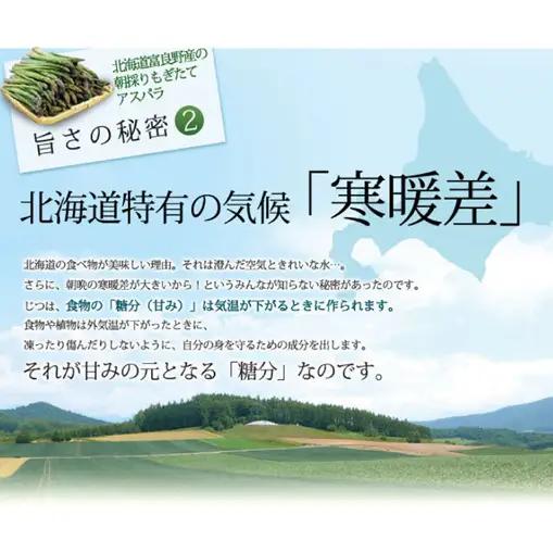 【2027年春発送】富良野産 訳あり グリーンアスパラ【1kg】65本前後 サイズ混合 野菜 アスパラガス 大容量