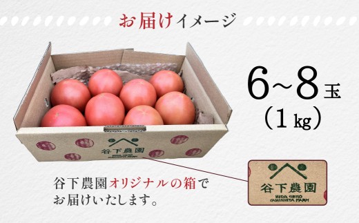 サイズは混合です。画像はイメージです。