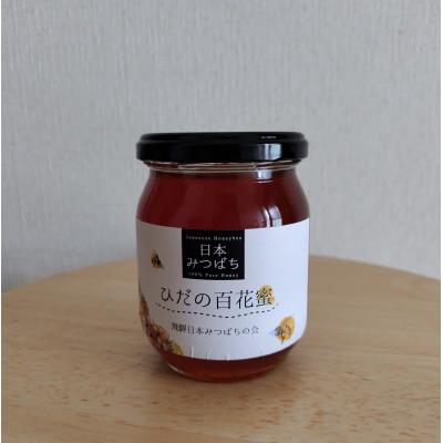 ふるさと納税 高山市 日本みつばちの百花蜜《ひだの百花蜜》 300g 1本 PN003 |  | 01