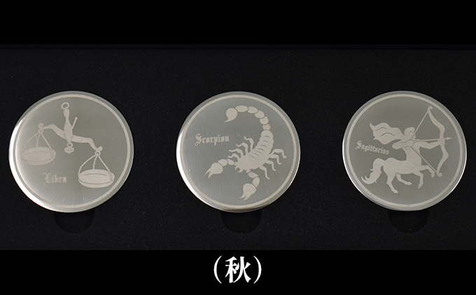 
[№5695-1234]コイン型のアイスキューブ（秋）
