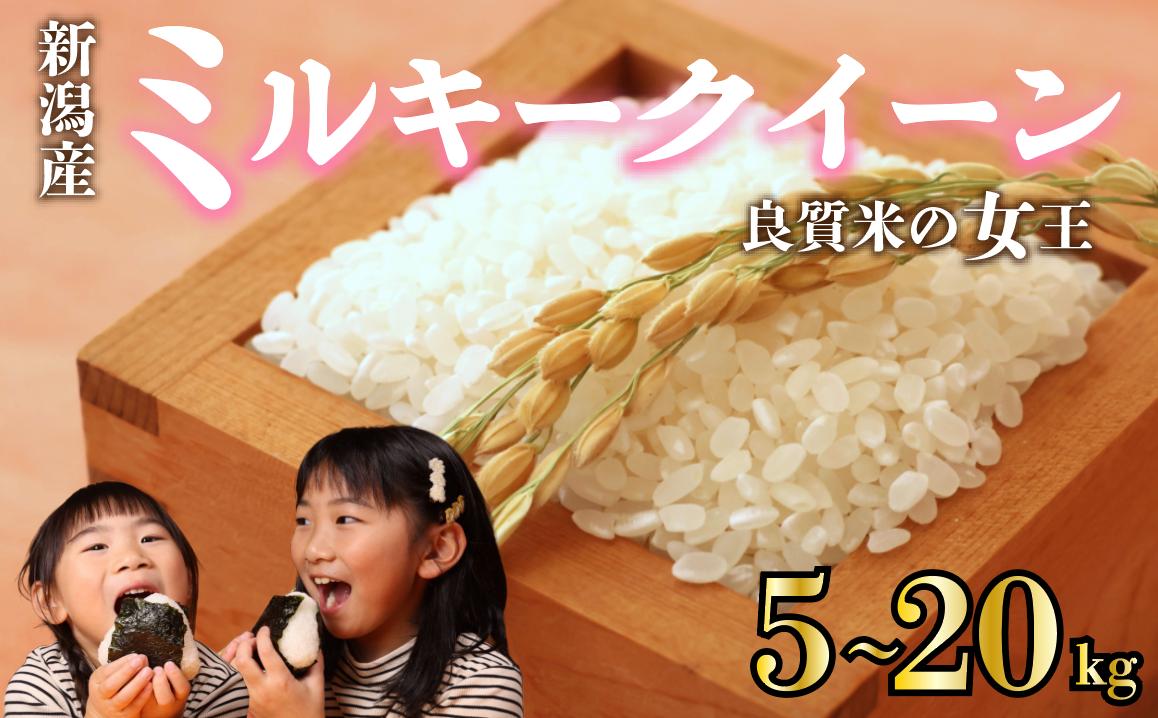 
            【先行予約】 令和7年産 ミルキークイーン 選べる 5kg 10kg 20kg ご飯 備蓄 コメ お米 米 こめ しんまい 新潟産 新潟米 新潟県 新潟 新発田 新発田市 国産 新発田市産 斗伸 toushin015_02 toushin016_02 toushin017_02
          
