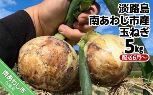 【しょうちゃんFARM】　淡路島　南あわじ市産玉ねぎ 5kg　◆配送6月～