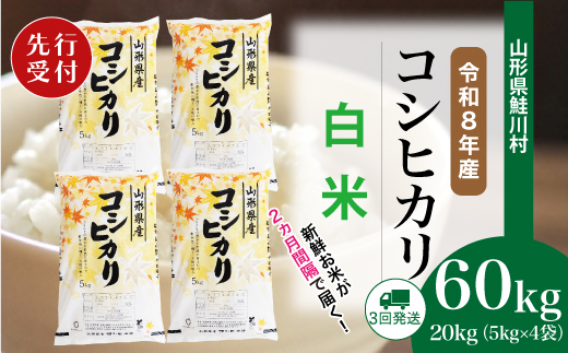 ＜令和8年産米先行受付＞ 令和9年4月中旬より配送開始 こしひかり【白米】60kg定期便(20kg×3回)　鮭川村