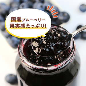 ブルーベリーソース 3本 180g×3 ブルーベリー