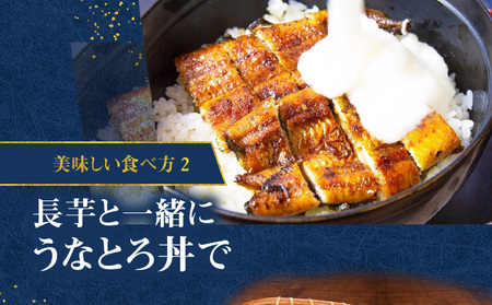 鹿児島県産！老舗うなぎ屋 の うなぎのかば焼き 4尾（ 並 ・ 100g以上 × 4パック ）【 ご自宅用 】 A040-009-08 うなぎ 鰻 ウナギ 蒲焼き かば焼き 惣菜 総菜 魚 魚類 うな