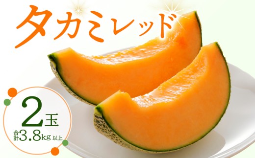 メロン 2玉入 タカミレッド 【 先行予約 】 5Lサイズ  2027 期間限定 季節限定 melon meron くだもの 果物 フルーツ 旬 季節 贈答 ギフト 贈り物 プレゼント 大きい おやつ スイーツ 赤肉 赤肉メロン 甘い デザート 厳選 国産 お取り寄せ 産直 産地直送 果汁 贅沢 ご褒美 高糖度 たかみ 貴味 送料無料 ふるさと納税 ふるさと納税メロン 千葉県 銚子市 みきファーム