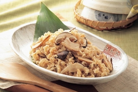 香り・歯応え・味ともに最高級！希少な国産松茸「高野松茸」300g【化粧箱入】【2024年10月上旬～10月下旬発送】