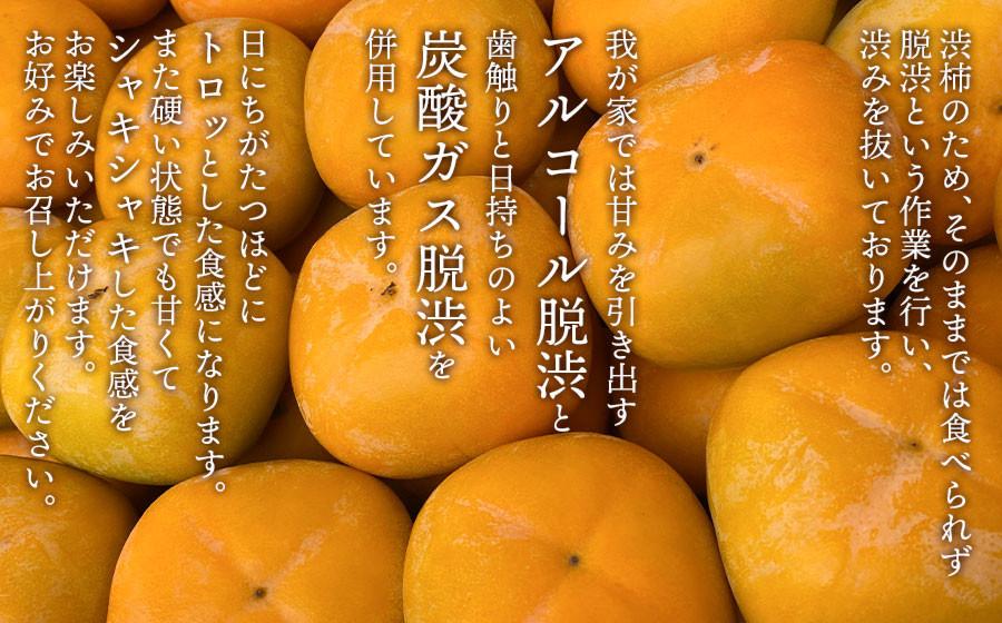 【令和8年産先行予約】庄内柿 たねなし柿 平核無柿 脱渋済み 家庭用 約3kg（18～23玉）　山形県鶴岡市 重ちゃん農園