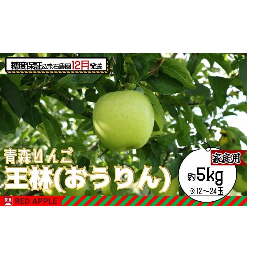 りんご 【 12月発送 】 13度糖度保証 家庭用 王林 約 5kg 【 弘前市産 青森りんご  果物 フルーツ 食後 デザート 旬の果物 旬のフルーツ シャキシャキ みずみずしい  】