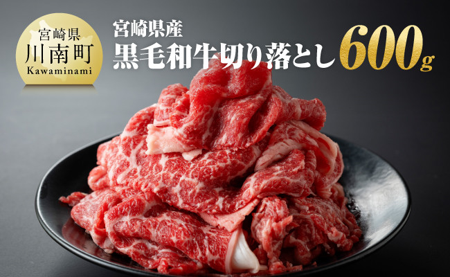 
宮崎県産 黒毛和牛 切り落とし 600g【 肉 牛肉 牛 宮崎牛 炒め物 2パック 日本ハム 】
