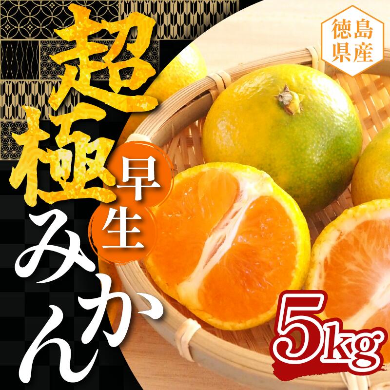【ふるさと納税】 みかん 5kg 蜜柑 超極早生みかん 極早生 柑橘 フルーツ 果物 オレンジ オレンジジュース デザート ケーキ アイス 冷凍みかん シャーベット ゼリー スイーツ お菓子 ギフト 送料無料 徳島県 三好市 みよし 篠原農園