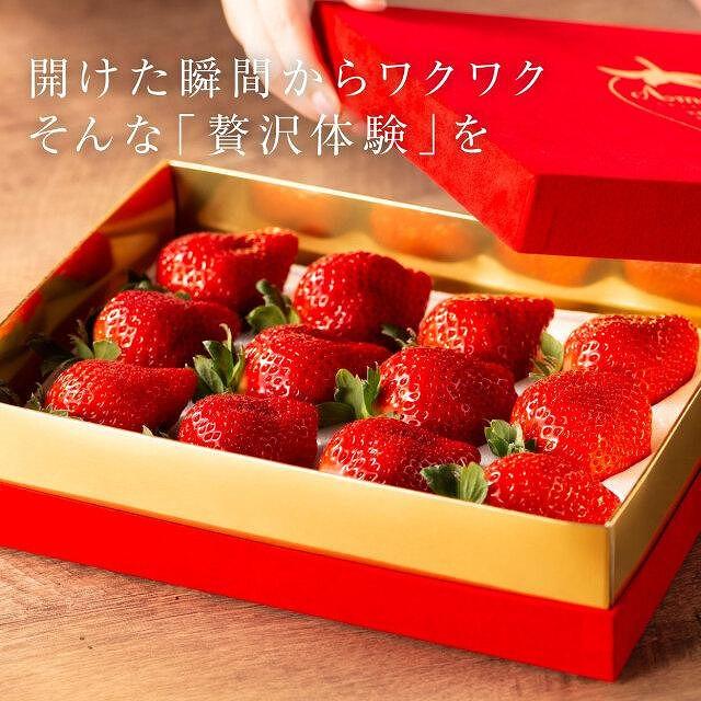 【2026年1月～4月出荷分予約販売】★希少4Lサイズ 450g ★赤のVIPボックスに入った宝石のような「完熟あまおう」！