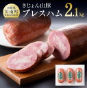 【ふるさと納税】 きじょん山豚 プレスハム 3本入り 送料無料【肉 豚肉 ハム 宮崎県産 きじょん山豚】九州 宮崎県 川南町 おうち時間 おうちごはん G7507