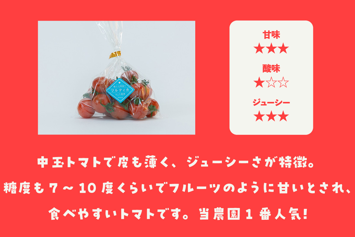 【先行予約】【2025年12月頃から順次発送】フルーツトマト　中玉フルティカ1kg　よこた農園 フフルティカ 野菜 トマト 新鮮野菜 太陽の恵み 中玉トマトトマト料理 愛知県産 フルーツとまと 甘いト